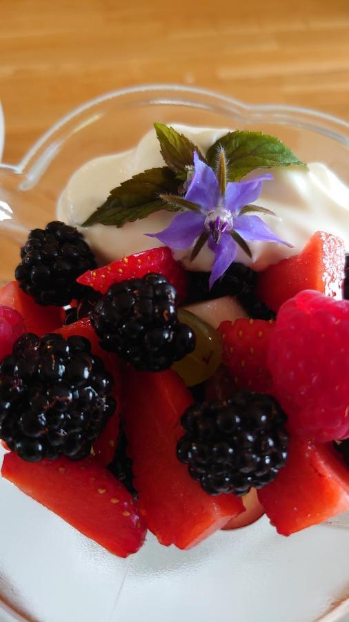 The Old Dairy B&B Lympstone Luaran gambar